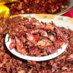 sauterelles ou "chapulines", une spécialité gastronomique du Mexique