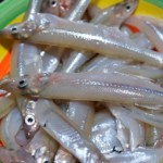 charales, des petits poissons à grignoter, typiques du Mexique